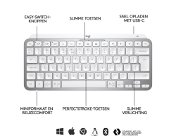Logitech MX Keys Mini - Mini - Kabellos - RF Wireless + Bluetooth - QWERTZ - LED - Grau