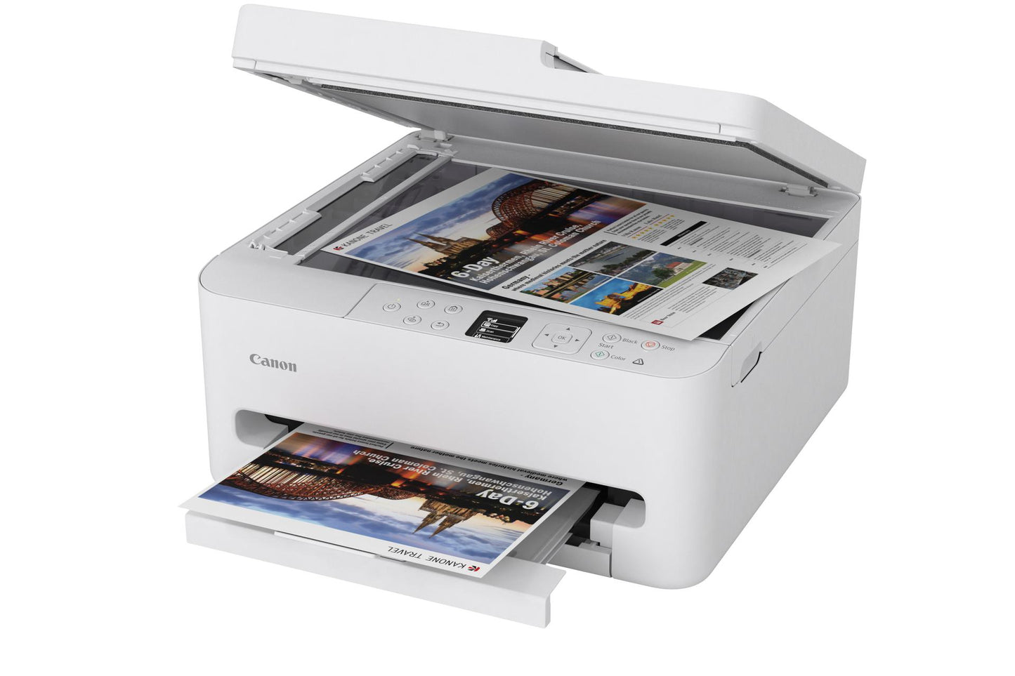 odoo:img-3466