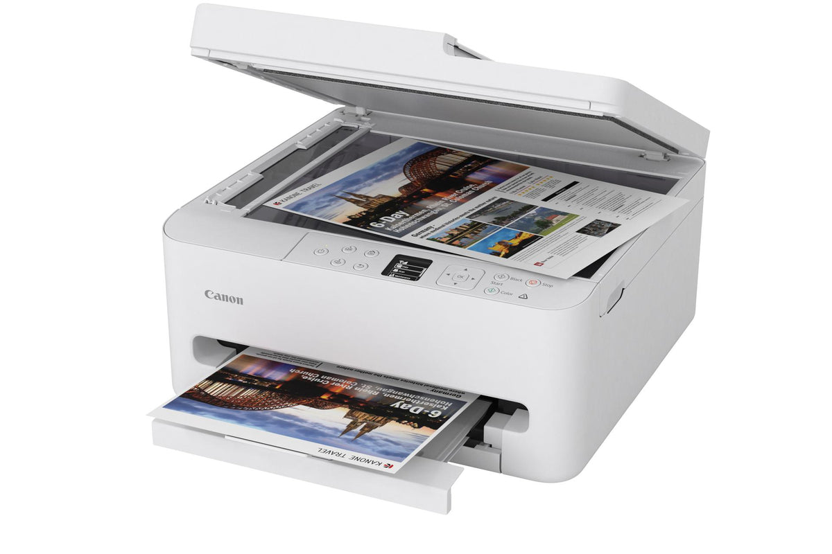 odoo:img-3466