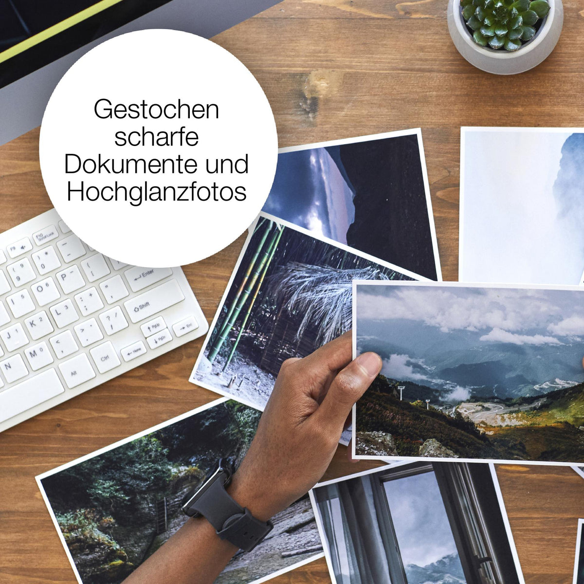 odoo:img-11968