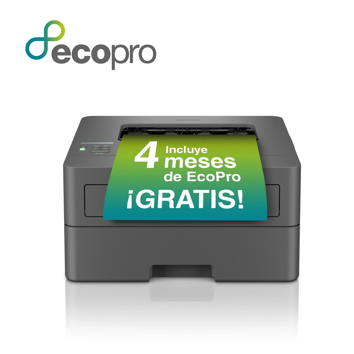 odoo:img-6154