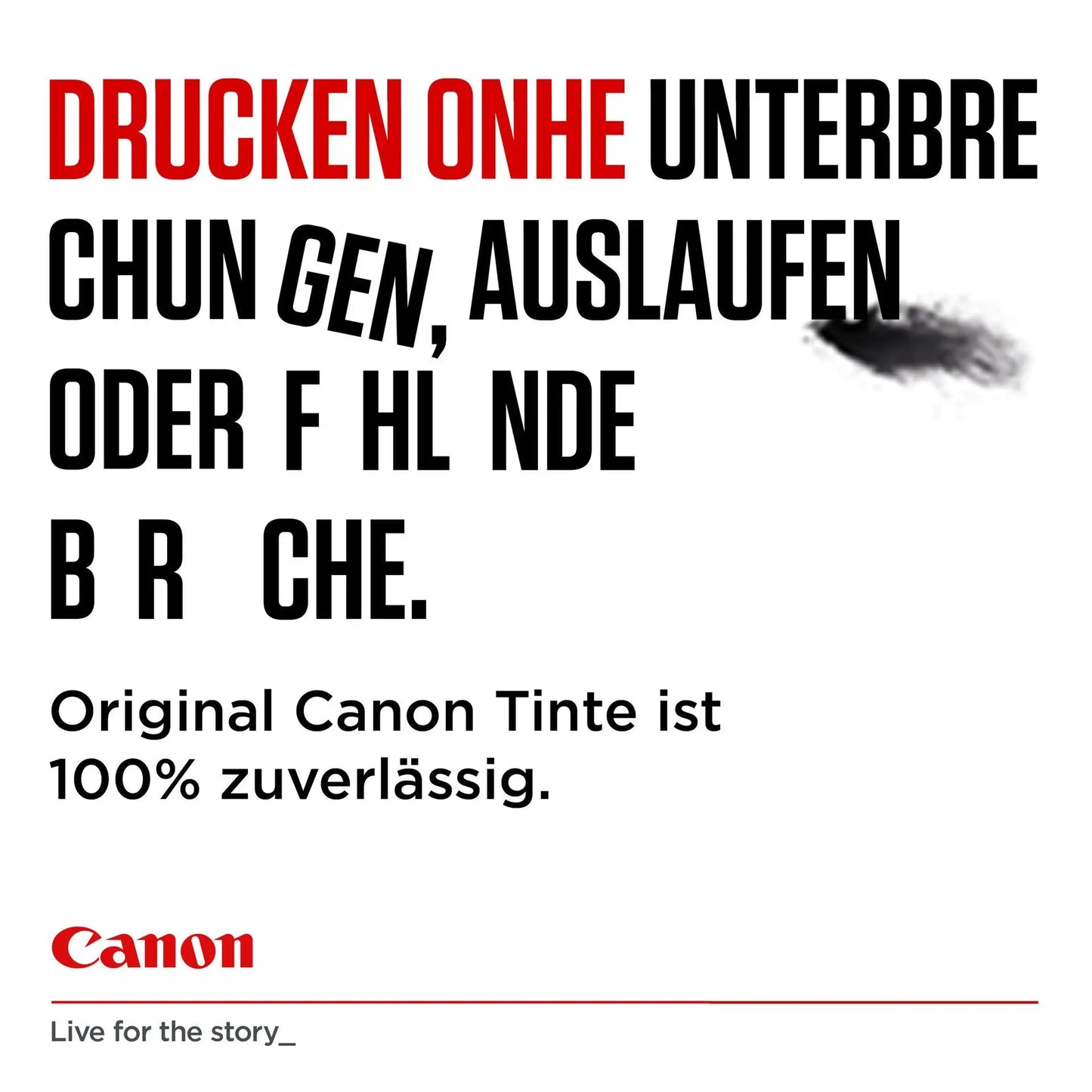 odoo:img-3413