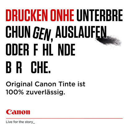 odoo:img-3413