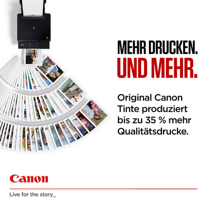 odoo:img-3392