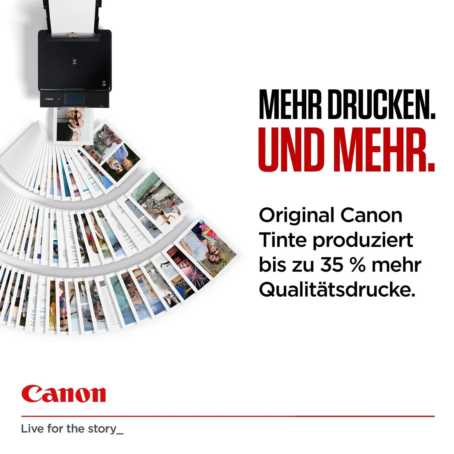 odoo:img-3408