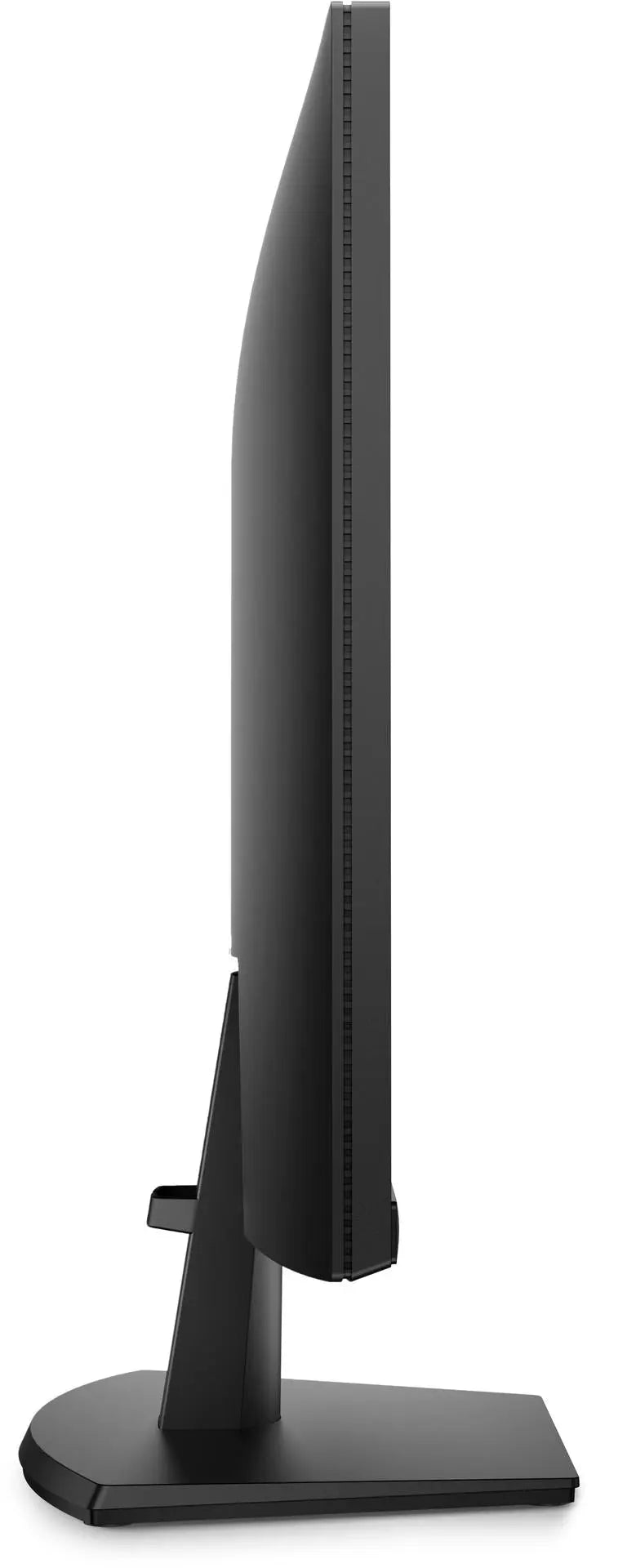 odoo:img-3635