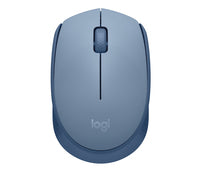 Logitech M171 - Beidhändig - Optisch - RF Wireless - Blau - Grau