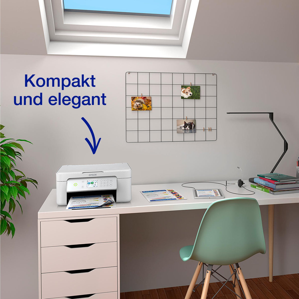 odoo:img-9783