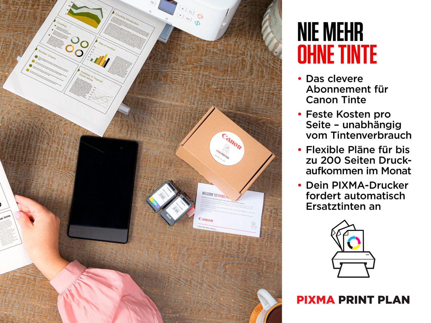 odoo:img-1732