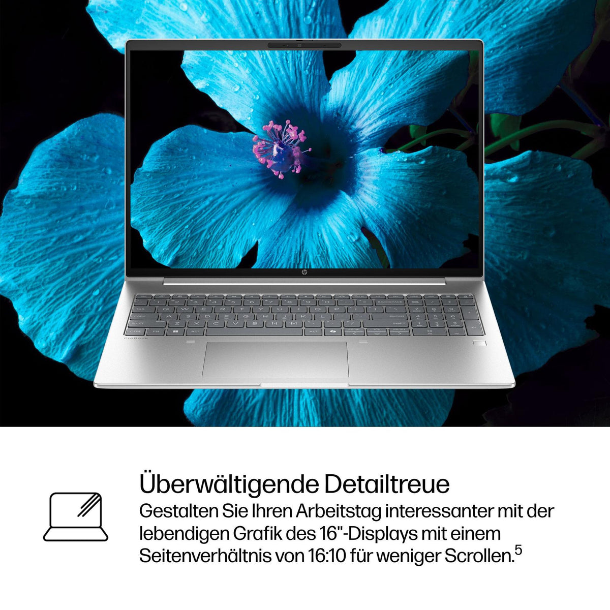 odoo:img-8137