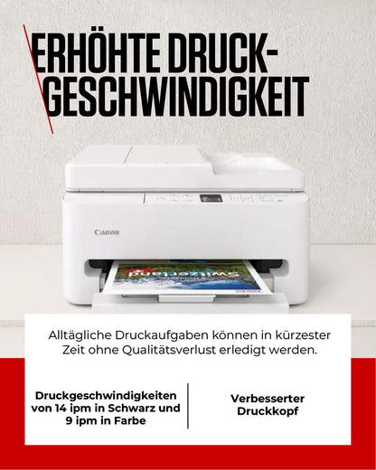 odoo:img-3461