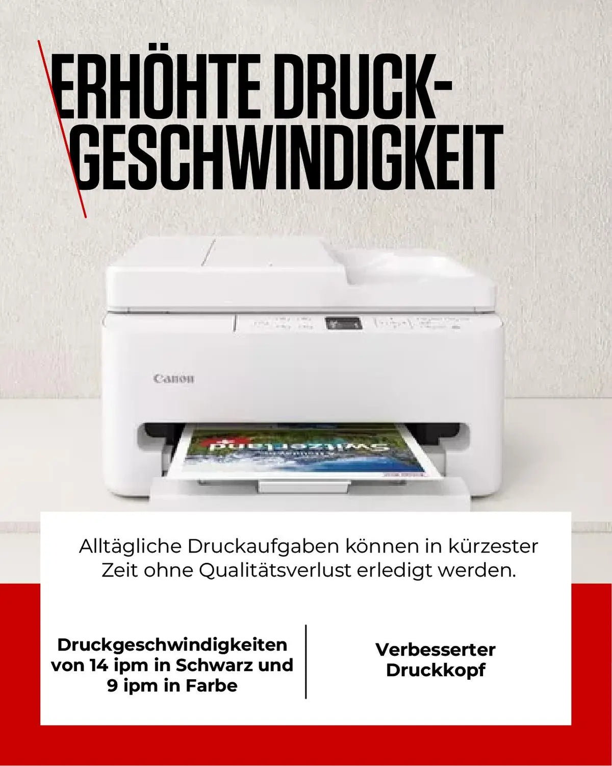 odoo:img-3461