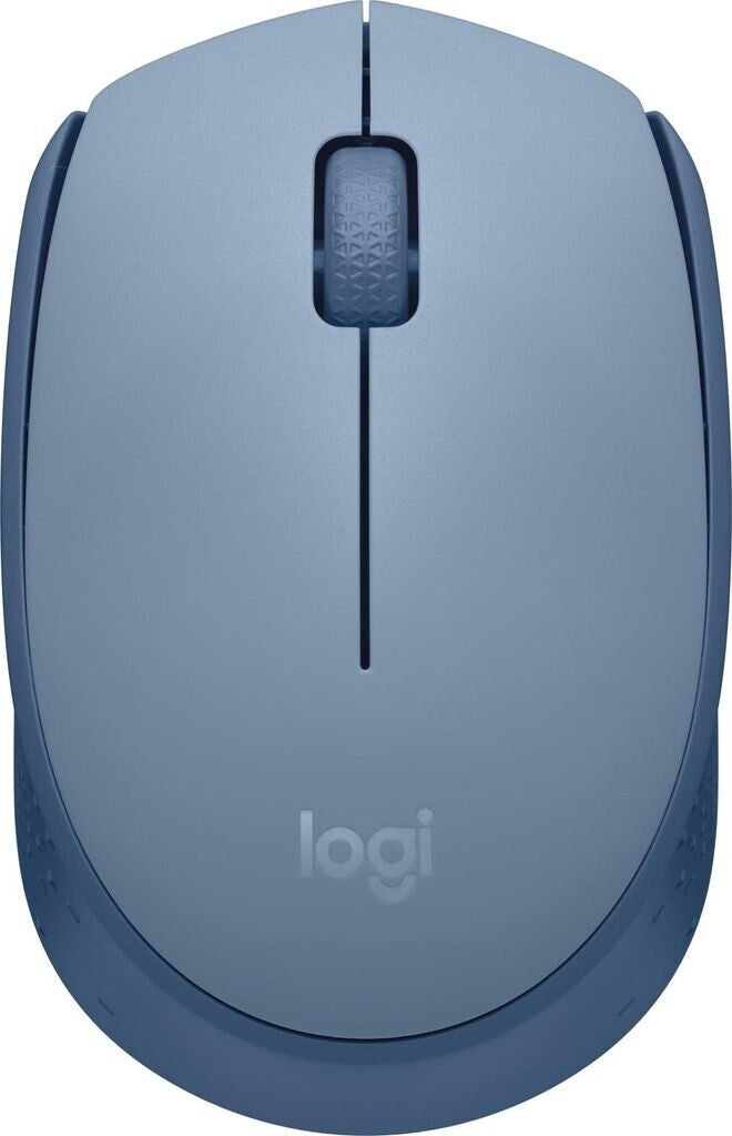Logitech M171 - Beidhändig - Optisch - RF Wireless - Blau - Grau