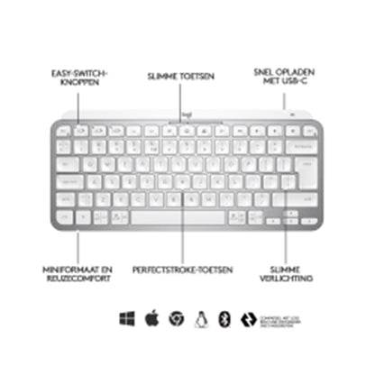 Logitech MX Keys Mini - Mini - Kabellos - RF Wireless + Bluetooth - QWERTZ - LED - Grau